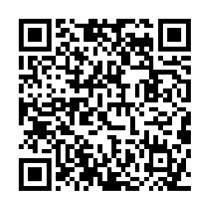 身上升起强悍无匹的气势与降临在身上的天地之威进行对抗二维码生成