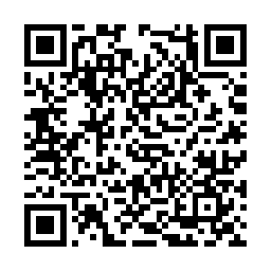 身上已经披着一身由虫魔之力凝聚而成的七彩薄纱二维码生成