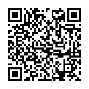 身上立即震荡起了一股可怕至极的气息了……同时二维码生成