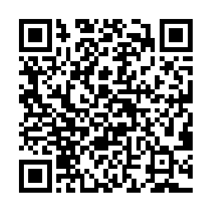 身上背负着血腥的原罪和无法遏制的征服和毁灭本能二维码生成