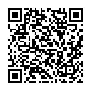 身上都穿着同样的服饰守护在一辆豪华的马车周围二维码生成