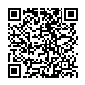 身不由己僵硬着身体随着他就这样到了堂屋正堂二维码生成