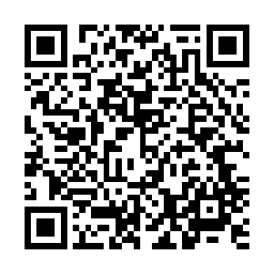 身为一个体魄和反应灵敏远远超过普通人的高手高手大高手二维码生成