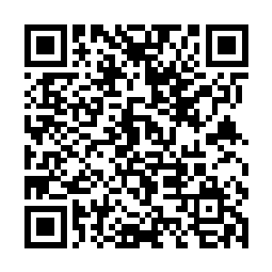 身为一位被皇帝陛下当傻子一样宠了一辈子的瑞亲王二维码生成