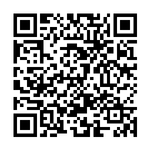 身为半机械人的杨凌融合晶核的速度也仅次于楚旬二维码生成