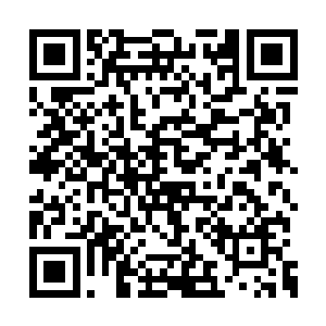 身为掌峰的罗文阳见笑梦彤居然毫不犹豫直面他二维码生成