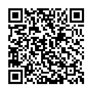 身为正常人的他和中二少年的郑午简直没法交流二维码生成