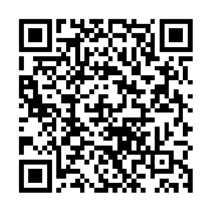 身为省委书记张云峰自然少不得要向邵家的人表示歉意二维码生成