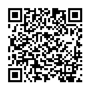 身体一个翻腾直接从高高的城墙上面落在了地面之上二维码生成