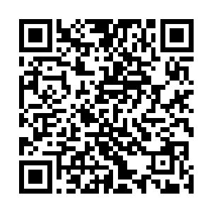 身体也是尽可能放松了的……似乎就是等待着秦方出手的二维码生成