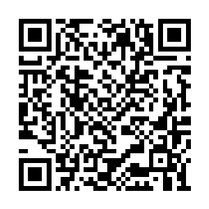 身体却再次被后面的男人给强行地按回了沙发上二维码生成