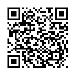 身体如泥鳅一样滑溜的躲开了鲨鱼的攻击二维码生成