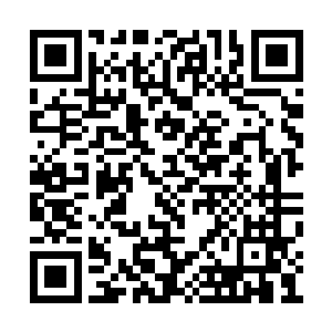 身体留下一串残影猛然一拳对着对方的鼻尖轰下二维码生成