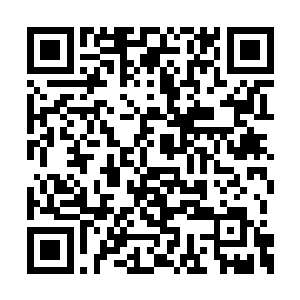 身体的本能需要储存更多热量来应付后面的寒冬二维码生成