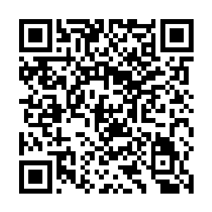 身体还处于踢出去的惯性的龙野已经无法躲开他的攻击二维码生成