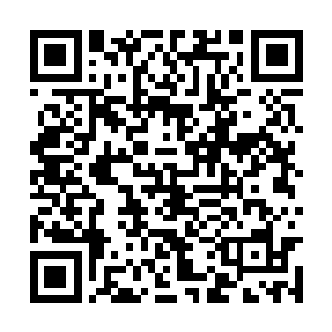 身后撞到墙上的黑衣人此刻也已经出现在他的身后二维码生成