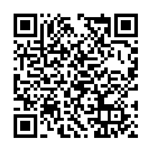 身后没有迷雾的地方数十万道能量风暴在那里肆虐二维码生成