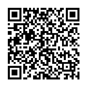 身后的宇文长老忽然心中一动脸上浮出阴笑来了精神二维码生成