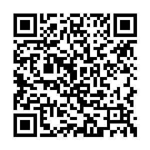 身后的许岚和风灵儿也紧张地注视着对面的士兵二维码生成