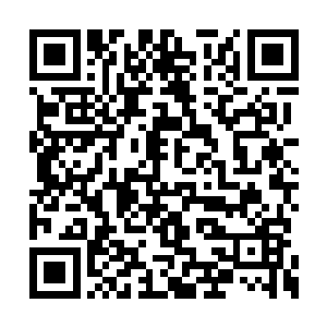 身后的那个灰袍阴鸷的老者见到杨戬的样子之后二维码生成