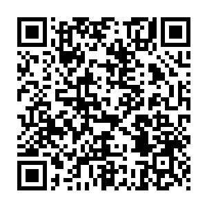 身后跟着一个金发碧眼的外国帅哥和一个长相普通的华夏国小男人二维码生成