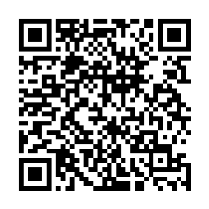 身后跟着八皇子安排的手下的御林军帮她抬着装银子的箱子二维码生成