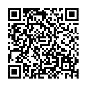 身后还跟着两个不停发出警告红光的执法者机器人的司空雨浩二维码生成