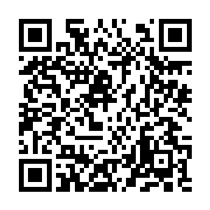 身处另一个神秘地界的冷轩正在辛苦的收集着晶石二维码生成