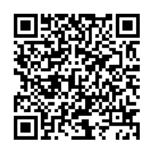 身处在雷火锥阵内的范筱梵竟然摆脱了阵法的控制二维码生成