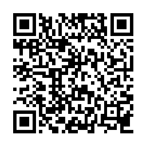 身子如同闪电一般直接出现在了鬼王萧腾的眼前二维码生成