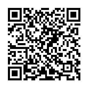 身子底下是严承悦费了不少心思为她寻来的碧心草编织的凉席二维码生成