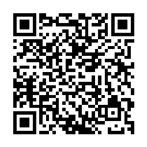 身子跃起脚尖在栏杆上点了一下就向一丈开外的假山飞了过去二维码生成