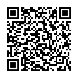 身材胖硕的独眼胖子从外面晃悠晃悠这走了进来二维码生成