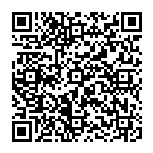 身材高大的寇江淮全然没有自己是在跟大楚继叶白夔之后第二根定海神针对话的觉悟二维码生成