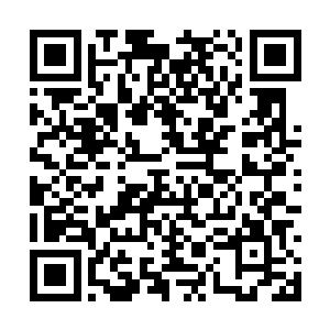 身材高大的金雕们和李旭东的动手方式就截然不同二维码生成