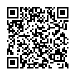 身着一套野外生存装束的男子出现在了屏幕正中二维码生成