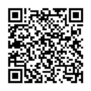 身着黎王府丫头服饰容貌平凡的丫头小心的扶起叶莹二维码生成