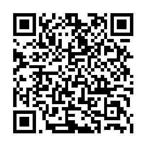 身负绝世的武学知识见识经验眼力这些也都不假二维码生成