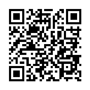 身躯仅有小猫般大小的幼虎爬上了青年的脑袋二维码生成