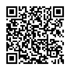 身边同时围聚有一群希冀着扬鞭大漠的天才将领二维码生成