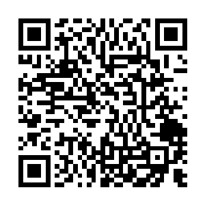 躲在迷乱星海称王的人正是青主他们嘴中当年的那个白凤凰二维码生成