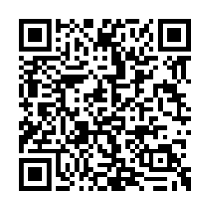 躺在榻上睁着眼睛看着屋顶发呆的向忠眼珠一动二维码生成