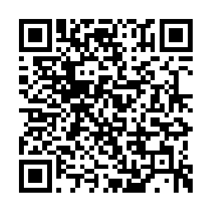 车牌号就在那么电光火石之间就被巴克确定无疑二维码生成