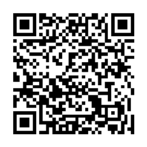 轩辕无极和几个随从突然从皇子府的后花厅之中转了出来二维码生成