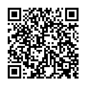 转了身我又对了她后面肩胛骨正对的位置一抹一拨二维码生成