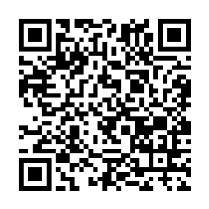 转念在间鲨鱼就这么平白无故的消失在了贝海的眼前二维码生成