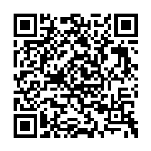 转而开始关注起了这样一本引得全民热读的小说二维码生成