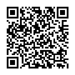 转身从一旁的柜子里取出了沈婉瑜要的那条裙子二维码生成