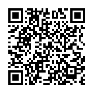 转身便是一记无比可怕的拳劲向着秦方轰杀了过来的二维码生成