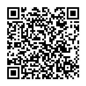 转身抱起受重伤的妖狼潇月调转方向向着自己之前山谷的方向跳去二维码生成